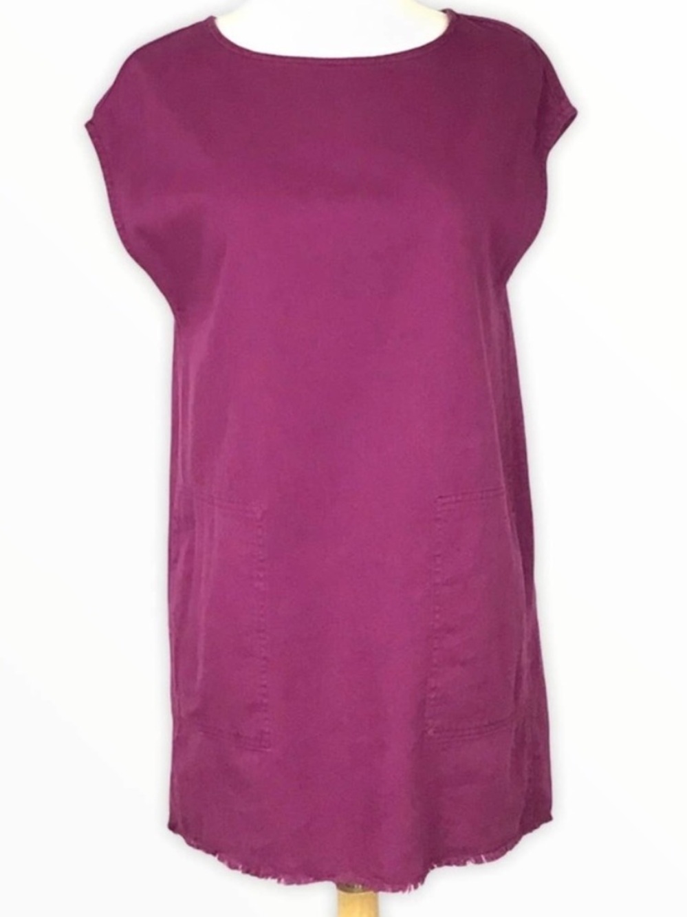 Aritzia Wilfred Free Raspberry Shift Dress